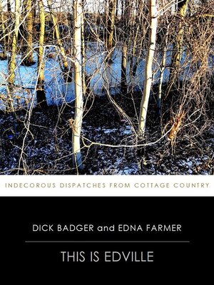 cover image of This is Edville